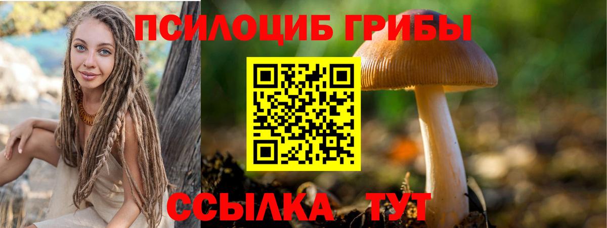 Псилоцибиновые грибы Magic Shrooms  Вход с VPN  купить наркотики цена  Всеволожск 